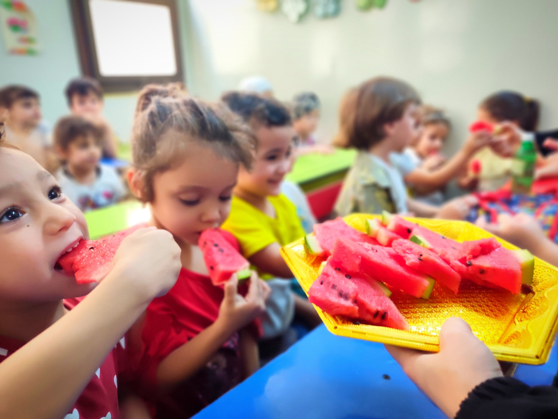 「苦手だった果物を食べられた」「一人きりからリーダーへ」——シリアの子どもたちに起きた小さな成長【2026年7月活動報告】